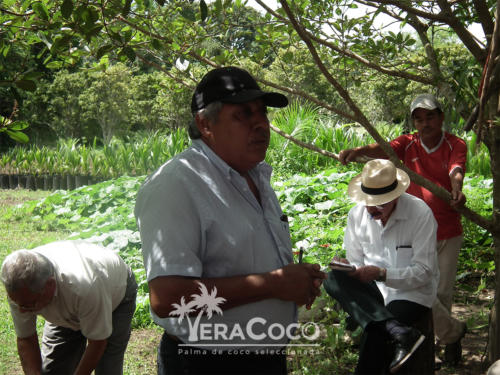 Nuestro responsable técnico, Ing. José Pérez Vázquez impartiendo la parte teórica del taller.