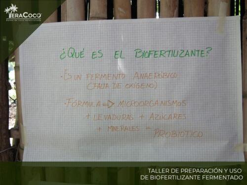 ¿Qué es ek Biofertilizante?. VeraCoco