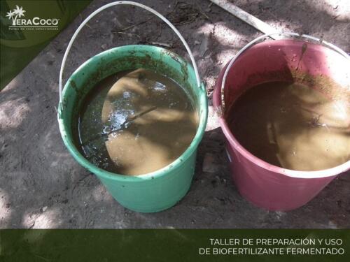 Preparación de biofertilizante. VeraCoco