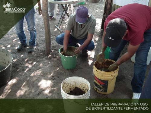 Taller Preparación y uso de Biofertilizante Fermentado.  Palma de coco híbrida