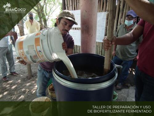 Taller Preparación y uso de Biofertilizante Fermentado.  Palma de coco híbrida