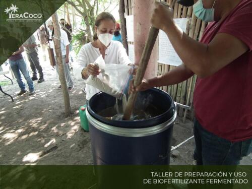 Taller Preparación y uso de Biofertilizante Fermentado.  Palma de coco híbrida