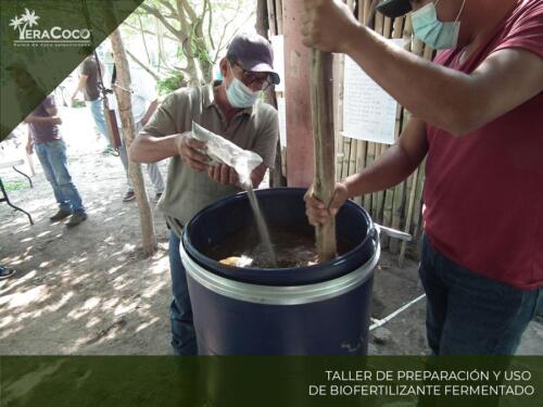 Taller Preparación y uso de Biofertilizante Fermentado.  Palma de coco híbrida