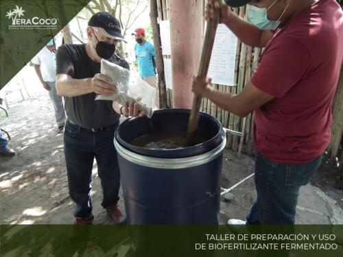 Taller Preparación y uso de Biofertilizante Fermentado.  Palma de coco híbrida