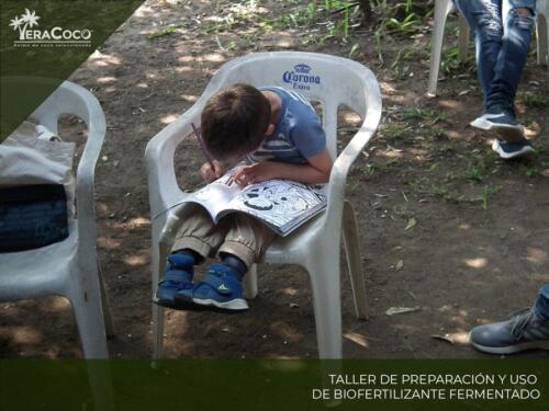 Taller Preparación y uso de Biofertilizante Fermentado.  Palma de coco híbrida