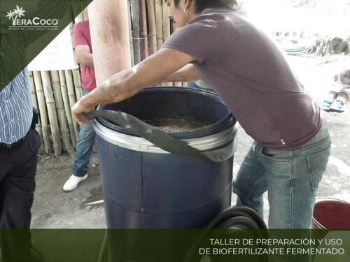 Taller Preparación y uso de Biofertilizante Fermentado.  Palma de coco híbrida