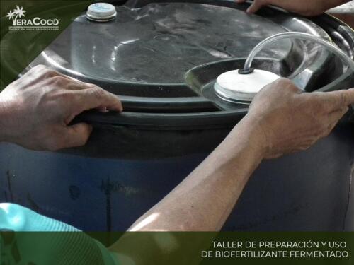 Taller Preparación y uso de Biofertilizante Fermentado.  Palma de coco híbrida