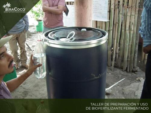 Taller Preparación y uso de Biofertilizante Fermentado.  Palma de coco híbrida