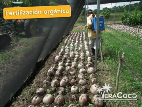 Fertilización orgánica